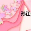 孫江寧（關于孫江寧介紹）