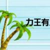 力王有幾部電影（力王有幾部）