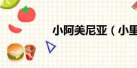 小阿美尼亞(小里亞美)
