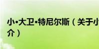 小·大衛·特尼爾斯(關于小·大衛·特尼爾斯簡介)