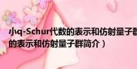 小q-Schur代數的表示和仿射量子群(關于小q-Schur代數的表示和仿射量子群簡介)