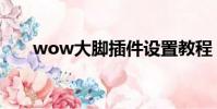 wow大腳插件設置教程(wow大腳)