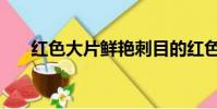 紅色大片鮮艷刺目的紅色(紅色大片)