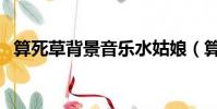 算死草背景音樂水姑娘(算死草背景音樂)