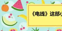 《電線》這部小說