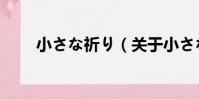 小さな祈り(關于小さな祈り簡介)