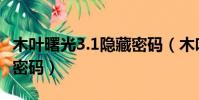 木葉曙光3.1隱藏密碼(木葉曙光2 7隱藏英雄密碼)