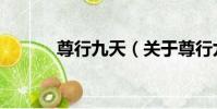 尊行九天(關于尊行九天簡介)