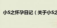小S之懷孕日記(關于小S之懷孕日記簡介)