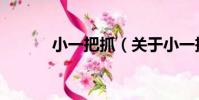 小一把抓(關于小一把抓簡介)