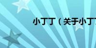 小丁丁(關于小丁丁簡介)