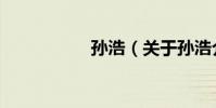 孫浩(關于孫浩介紹)