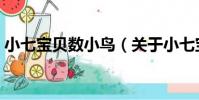 小七寶貝數小鳥(關于小七寶貝數小鳥簡介)