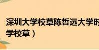 深圳大學校草陳哲遠大學時期的照片(深圳大學校草)
