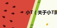 小T(關于小T簡介)