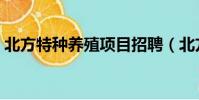 北方特種養殖項目招聘(北方特種養殖項目)