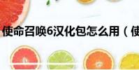 使命召喚6漢化包怎么用(使命召喚6動畫包)