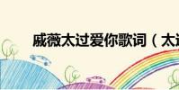 戚薇太過愛你歌詞(太過愛你歌詞)