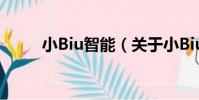 小Biu智能(關于小Biu智能簡介)
