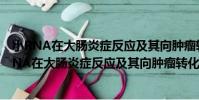 小RNA在大腸炎癥反應及其向腫瘤轉化中的作用(關于小RNA在大腸炎癥反應及其向腫瘤轉化中的作用簡介)