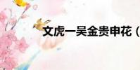 文虎一吳金貴申花(文虎一)