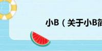 小B(關于小B簡介)