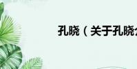 孔曉(關于孔曉介紹)