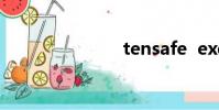 tensafe exe