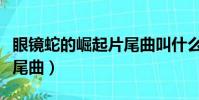 眼鏡蛇的崛起片尾曲叫什么(眼鏡蛇的崛起片尾曲)