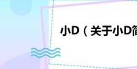 小D(關于小D簡介)