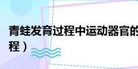 青蛙發育過程中運動器官的變化(青蛙發育過程)