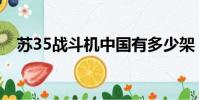 蘇35戰斗機中國有多少架(蘇35戰斗機)