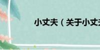 小丈夫(關于小丈夫簡介)