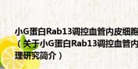 小G蛋白Rab13調控血管內皮細胞巨自噬的作用及機理研究(關于小G蛋白Rab13調控血管內皮細胞巨自噬的作用及機理研究簡介)