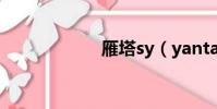 雁塔sy(yantasy)