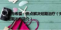 尊重與希望:焦點解決短期治療(關于尊重與希望:焦點解決短期治療簡介)