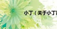 小丁(關于小丁簡介)