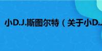小D.J.斯圖爾特(關于小D.J.斯圖爾特簡介)