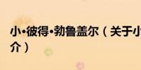 小·彼得·勃魯蓋爾(關于小·彼得·勃魯蓋爾簡介)