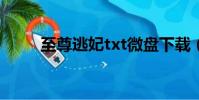 至尊逃妃txt微盤下載(至尊逃妃)