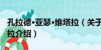 孔拉德·亞瑟·維塔拉(關于孔拉德·亞瑟·維塔拉介紹)
