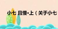 小七 且慢·上(關于小七 且慢·上簡介)
