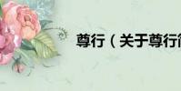尊行(關于尊行簡介)