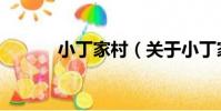 小丁家村(關于小丁家村簡介)