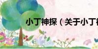 小丁神探(關于小丁神探簡介)