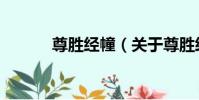 尊勝經幢(關于尊勝經幢簡介)