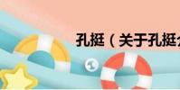 孔挺(關于孔挺介紹)