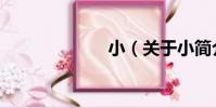 小(關于小簡介)