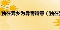 獨在異鄉為異客詩意(獨在異鄉為異客全詩)