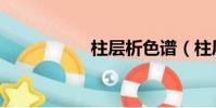 柱層析色譜(柱層析)